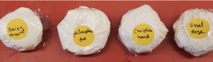 The cheese created by Agapakis and Tolaas. Yes, they are edible.